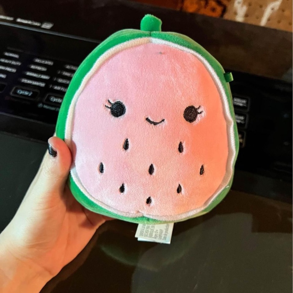 Watermelon squishmallow